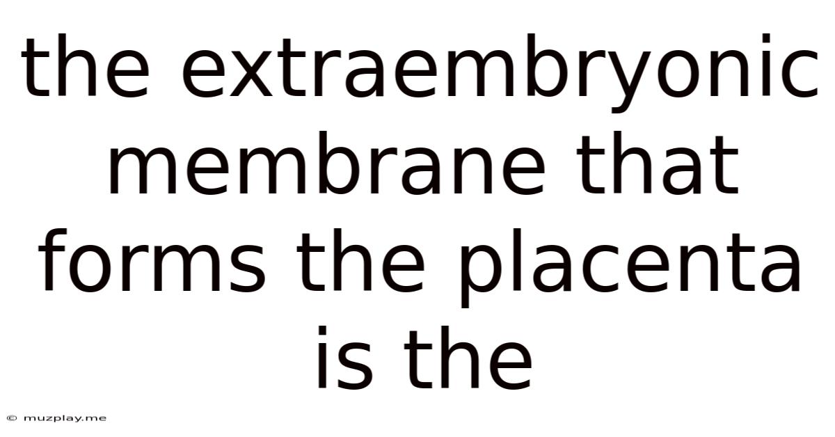 The Extraembryonic Membrane That Forms The Placenta Is The