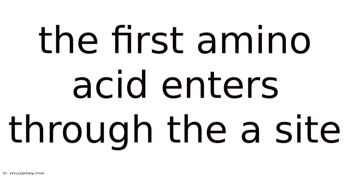 The First Amino Acid Enters Through The A Site