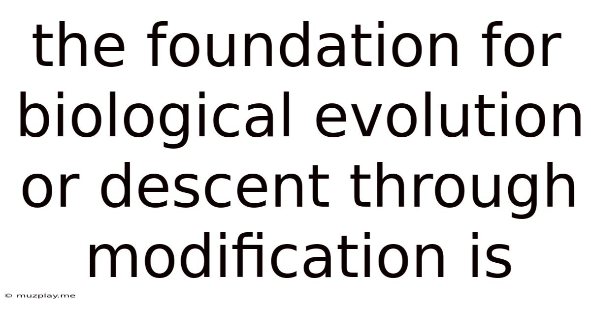 The Foundation For Biological Evolution Or Descent Through Modification Is