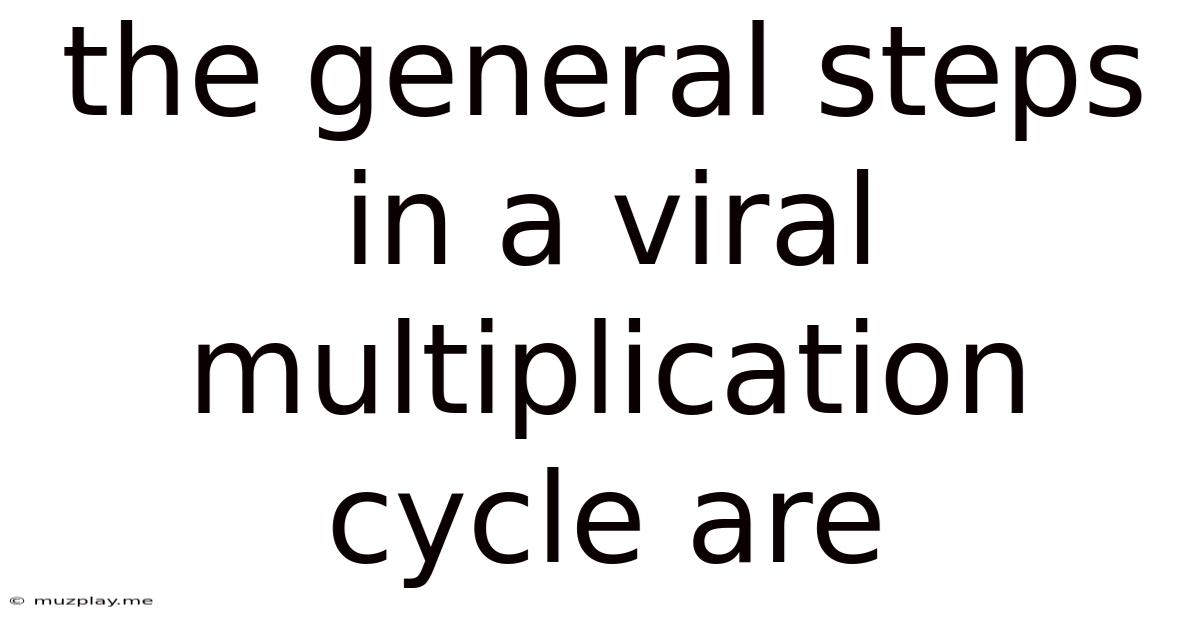 The General Steps In A Viral Multiplication Cycle Are