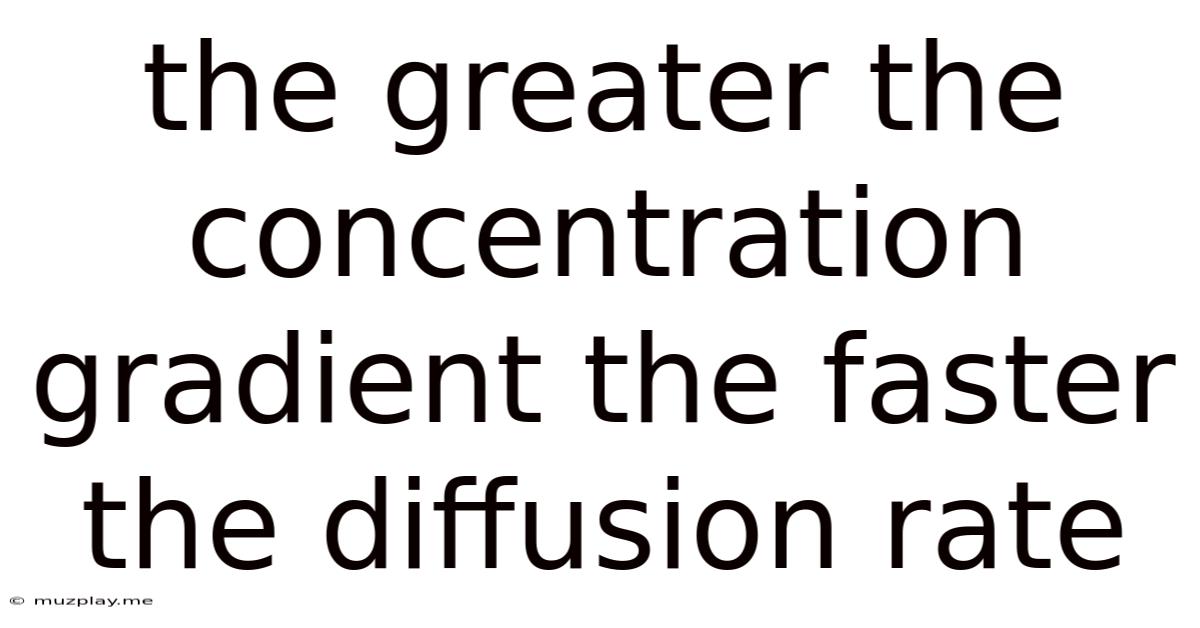The Greater The Concentration Gradient The Faster The Diffusion Rate