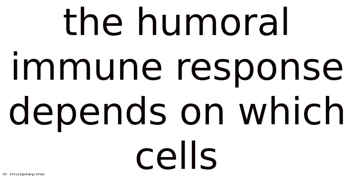 The Humoral Immune Response Depends On Which Cells
