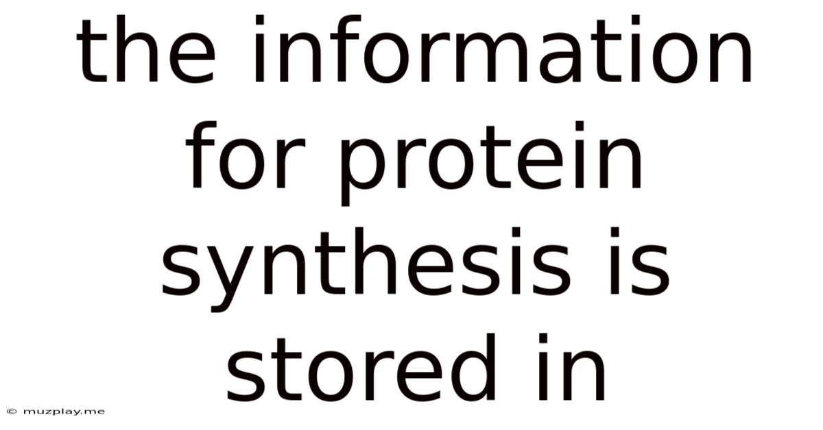 The Information For Protein Synthesis Is Stored In