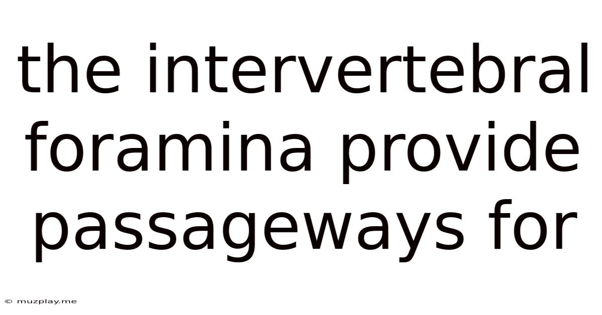 The Intervertebral Foramina Provide Passageways For