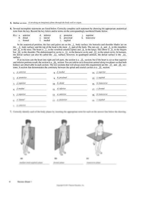 The Language Of Anatomy Exercise 1