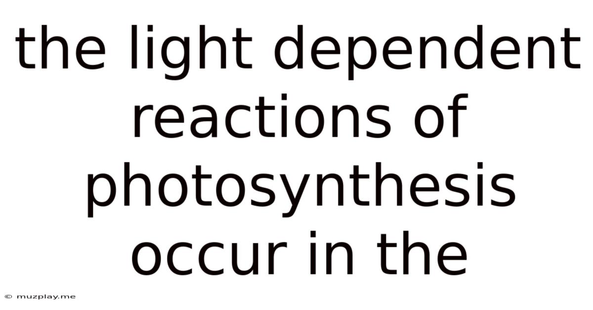 The Light Dependent Reactions Of Photosynthesis Occur In The