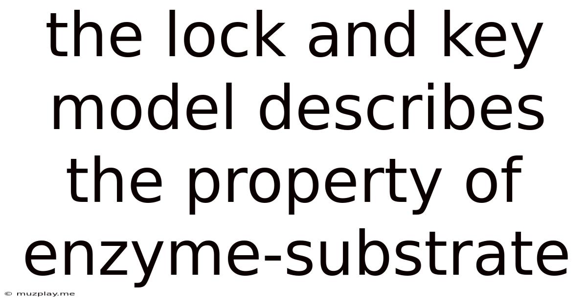 The Lock And Key Model Describes The Property Of Enzyme-substrate