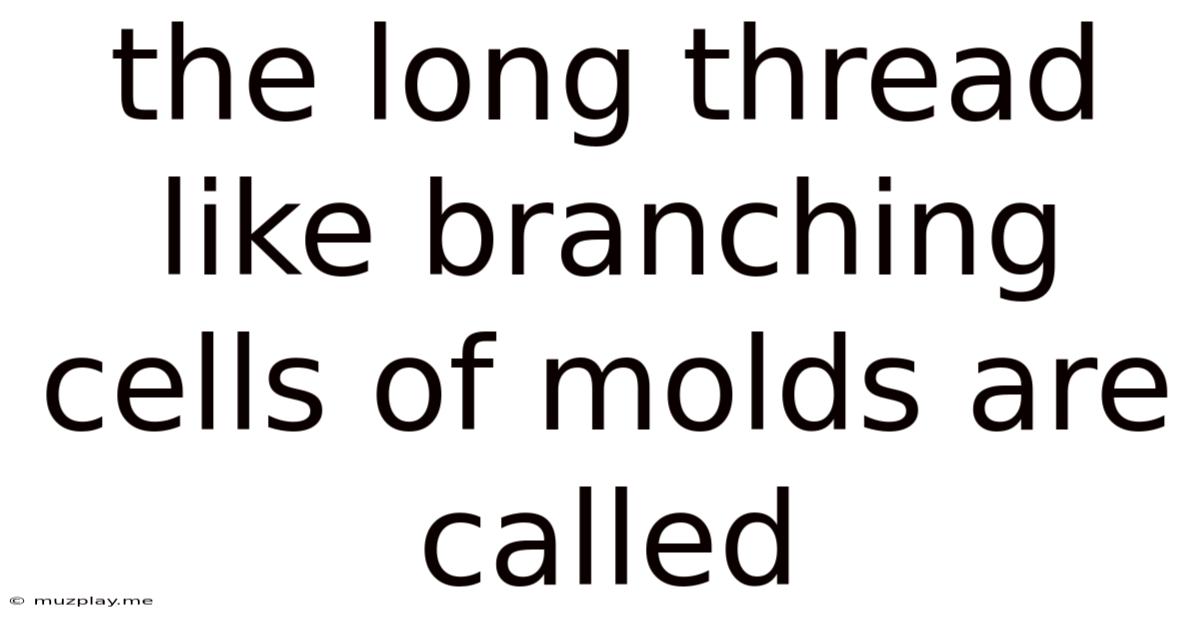 The Long Thread Like Branching Cells Of Molds Are Called