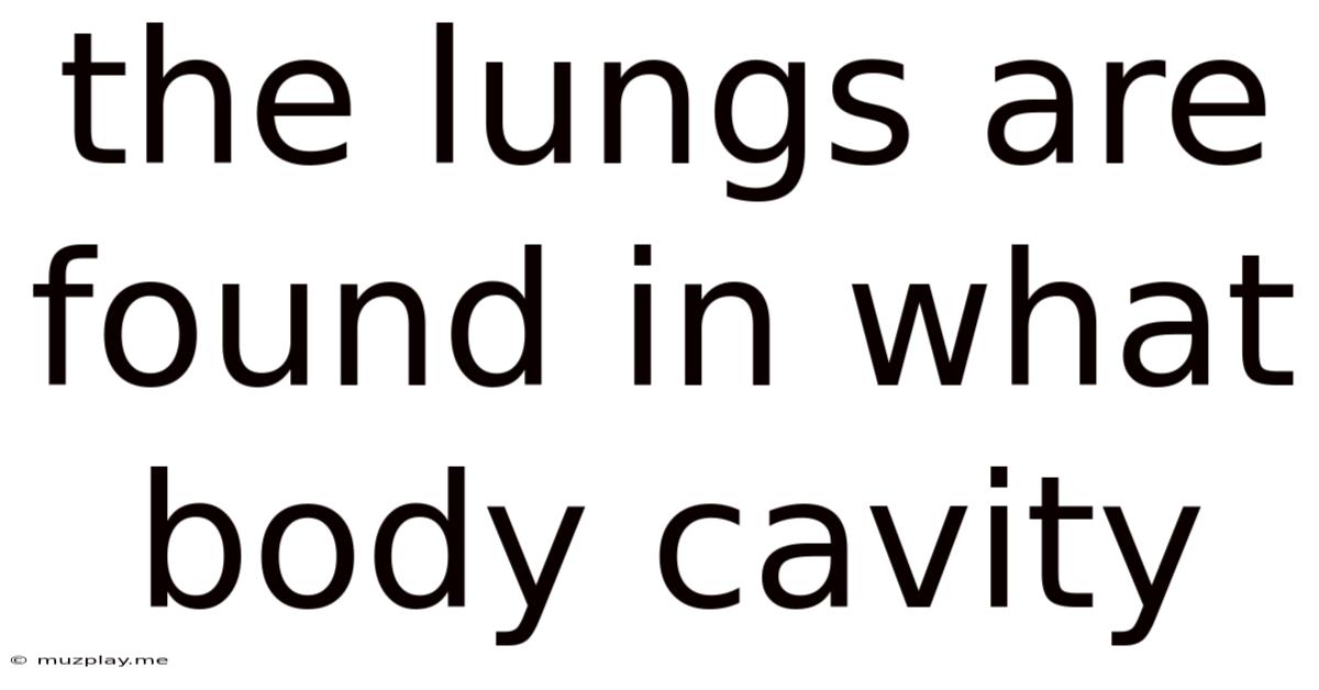 The Lungs Are Found In What Body Cavity