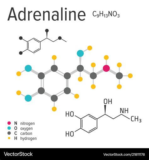 The Missing Atom In The Adrenaline Molecule Is ______.