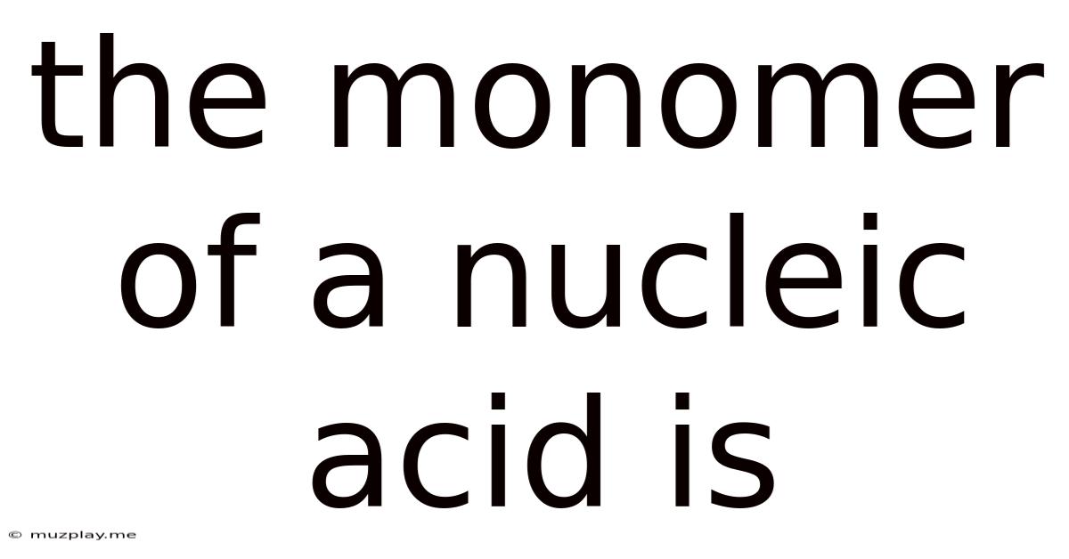 The Monomer Of A Nucleic Acid Is
