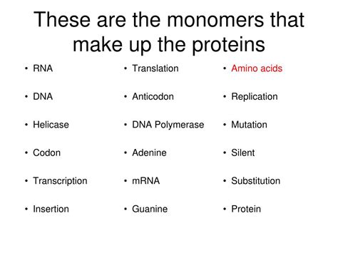 The Monomers That Make Up Proteins Are Called