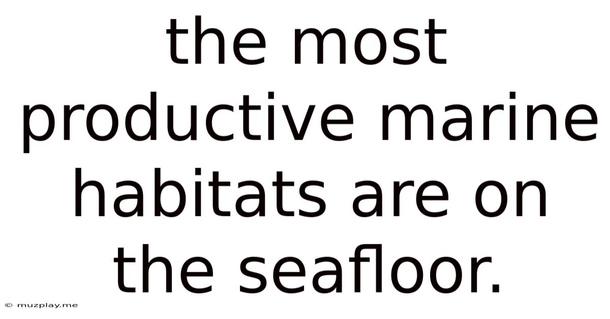 The Most Productive Marine Habitats Are On The Seafloor.