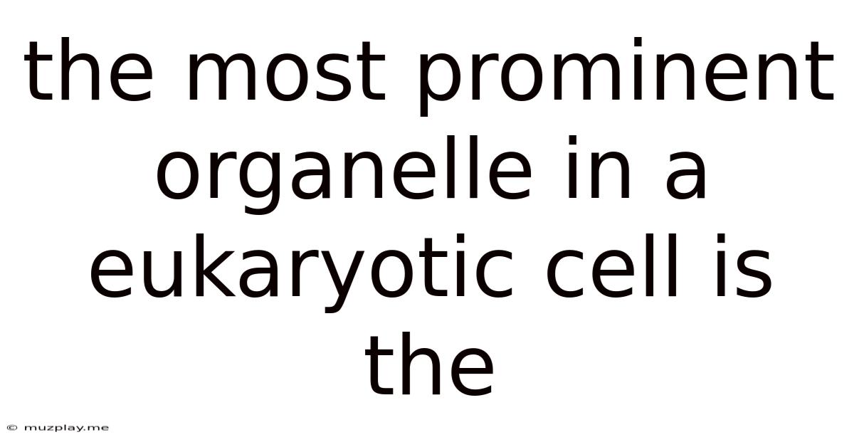The Most Prominent Organelle In A Eukaryotic Cell Is The