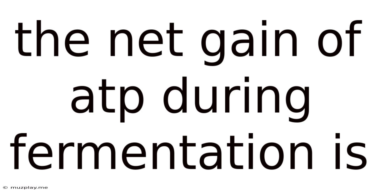 The Net Gain Of Atp During Fermentation Is