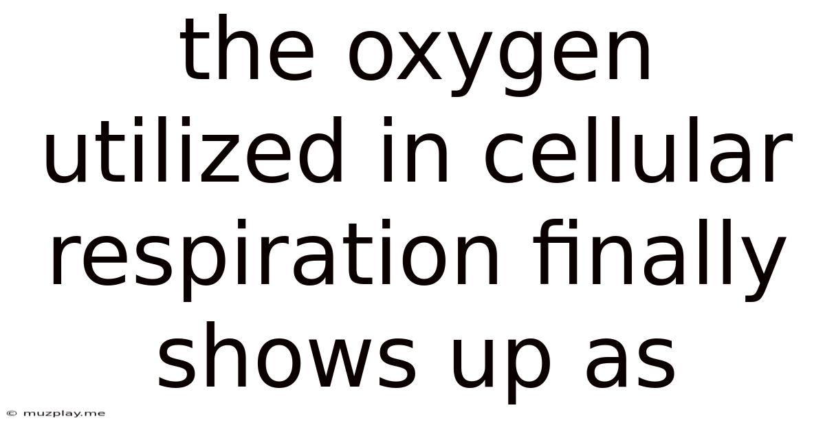 The Oxygen Utilized In Cellular Respiration Finally Shows Up As