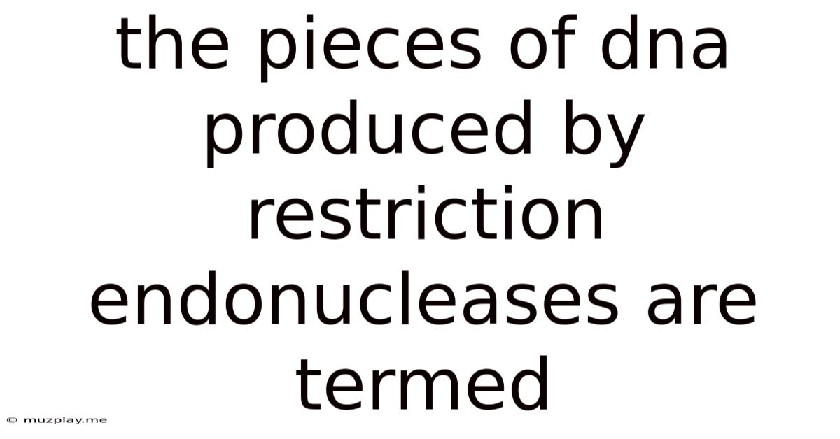 The Pieces Of Dna Produced By Restriction Endonucleases Are Termed