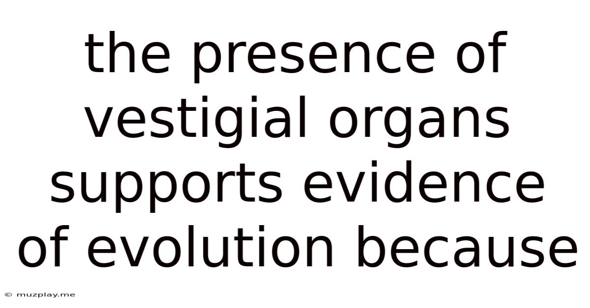 The Presence Of Vestigial Organs Supports Evidence Of Evolution Because