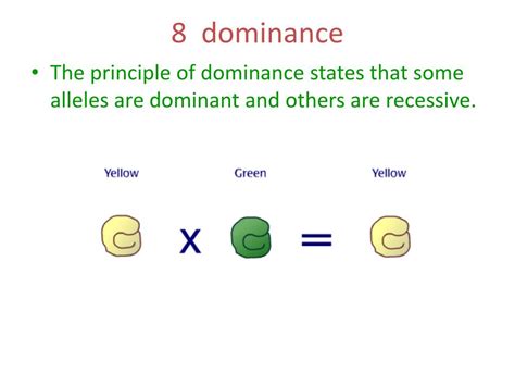 The Principle Of Dominance States That