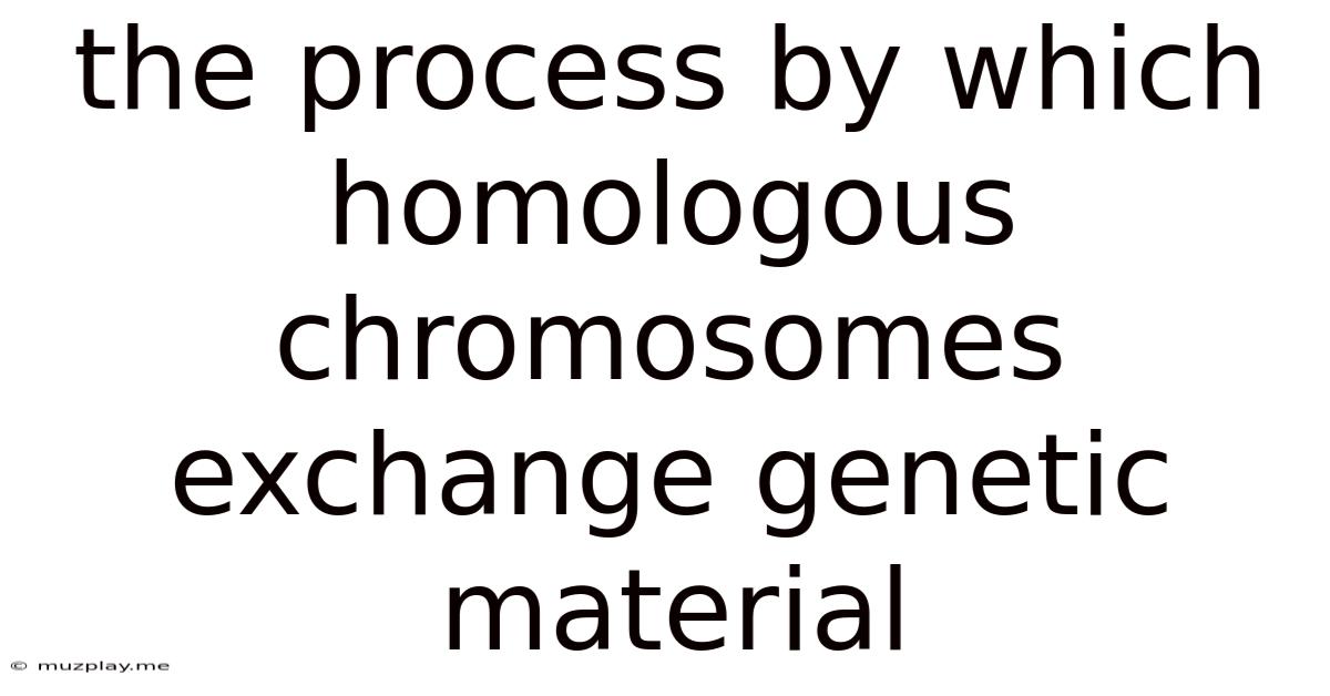The Process By Which Homologous Chromosomes Exchange Genetic Material