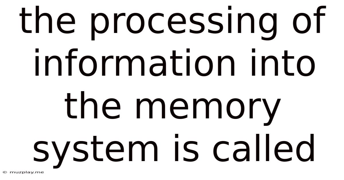 The Processing Of Information Into The Memory System Is Called
