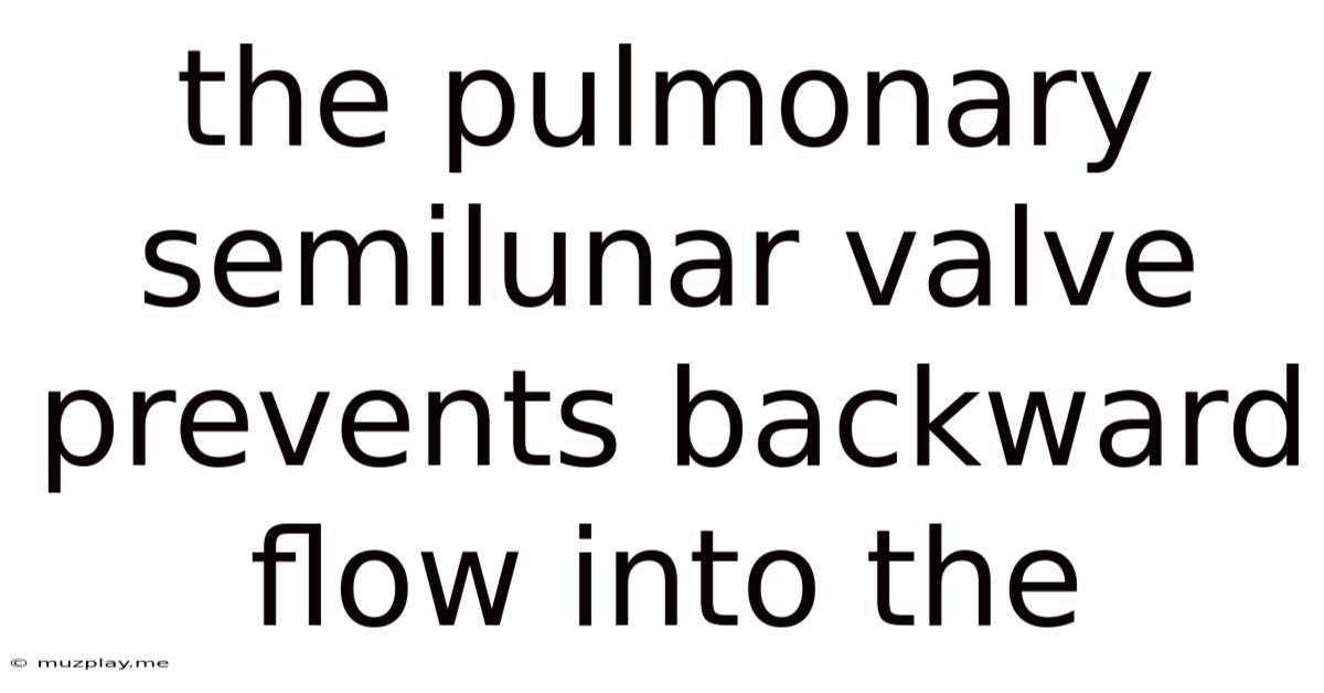 The Pulmonary Semilunar Valve Prevents Backward Flow Into The