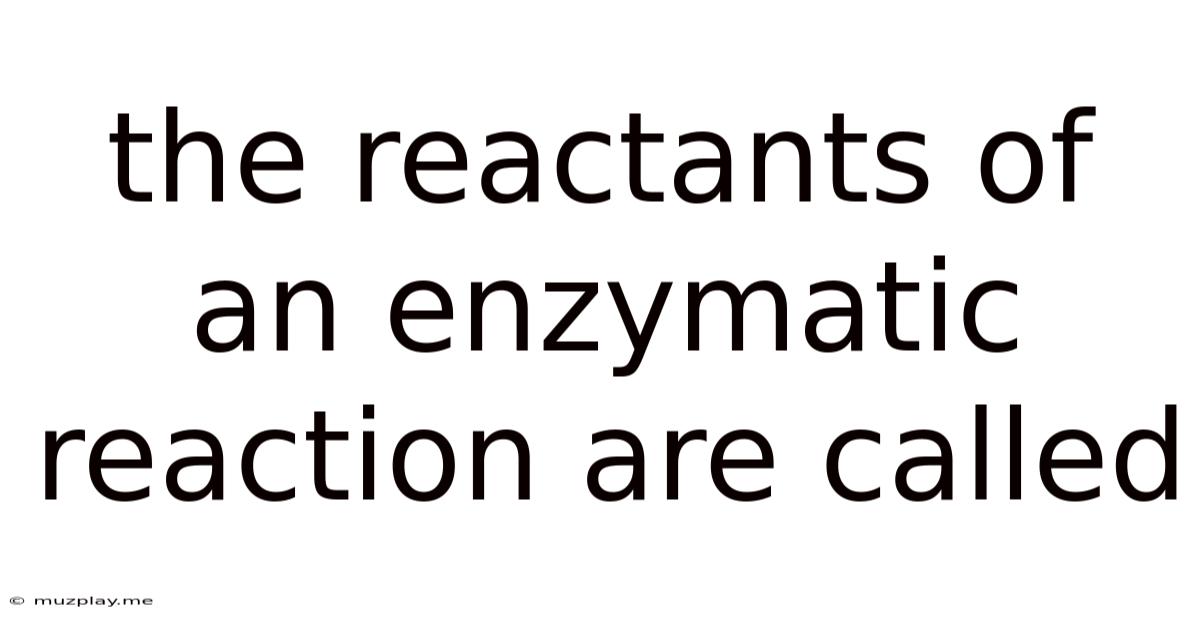 The Reactants Of An Enzymatic Reaction Are Called