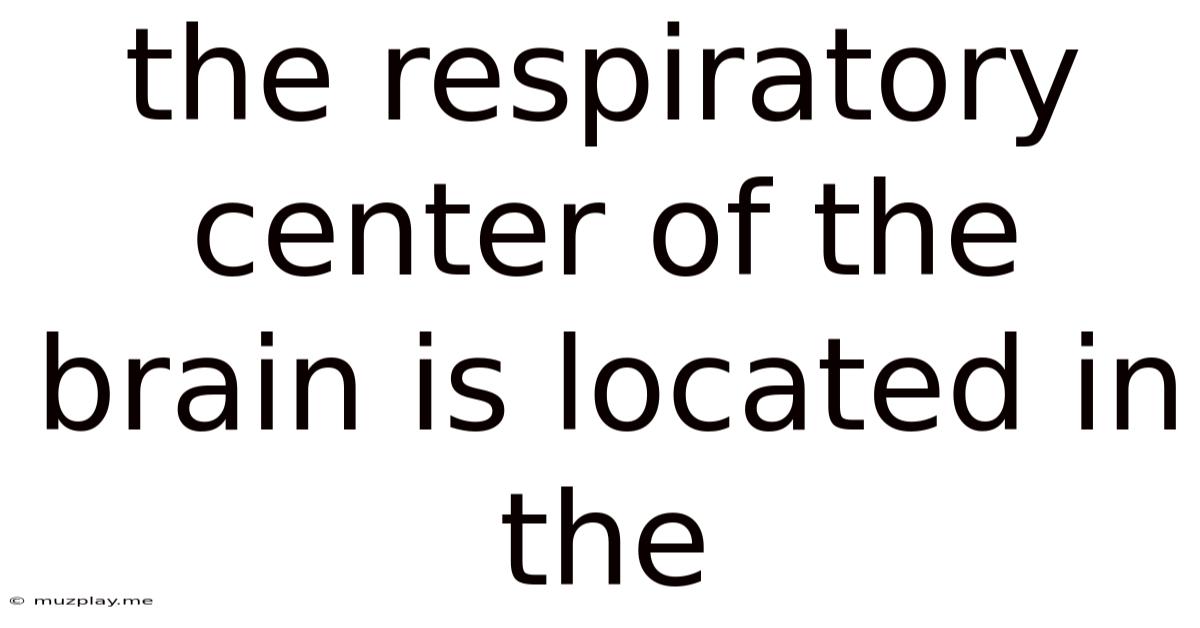 The Respiratory Center Of The Brain Is Located In The