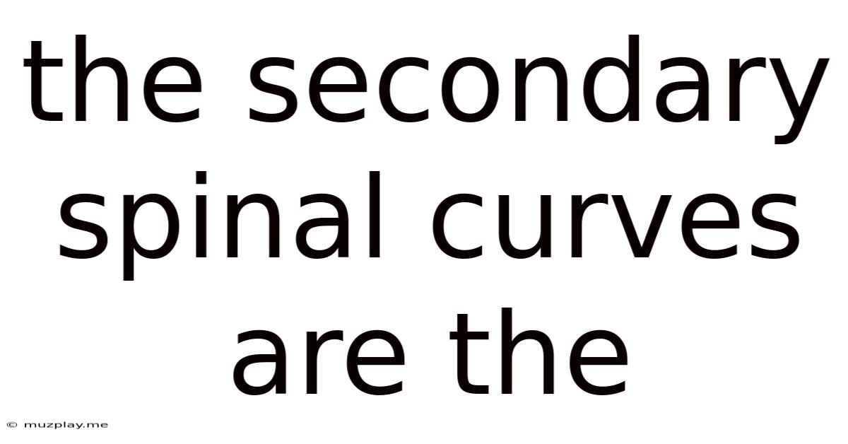 The Secondary Spinal Curves Are The