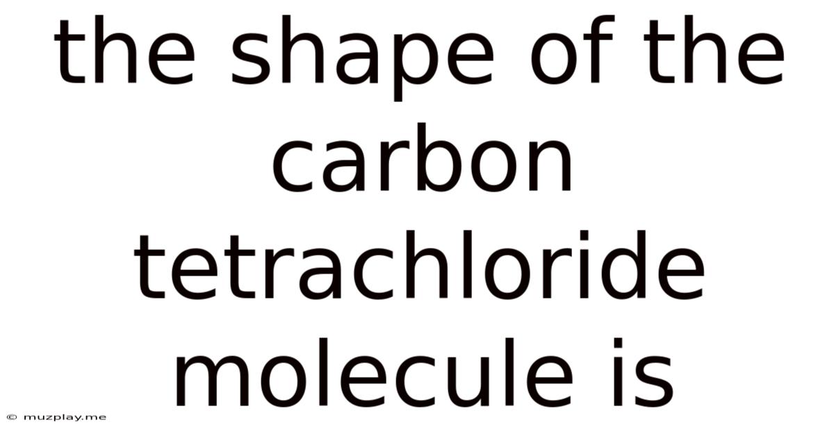 The Shape Of The Carbon Tetrachloride Molecule Is
