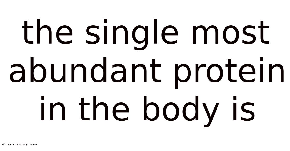 The Single Most Abundant Protein In The Body Is
