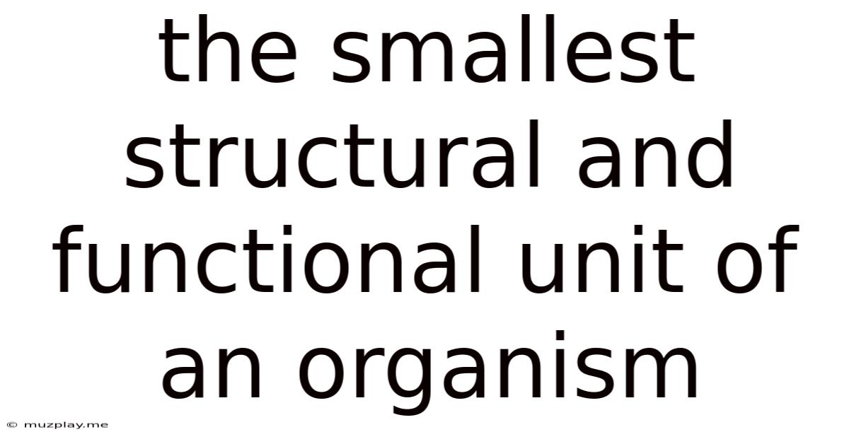 The Smallest Structural And Functional Unit Of An Organism