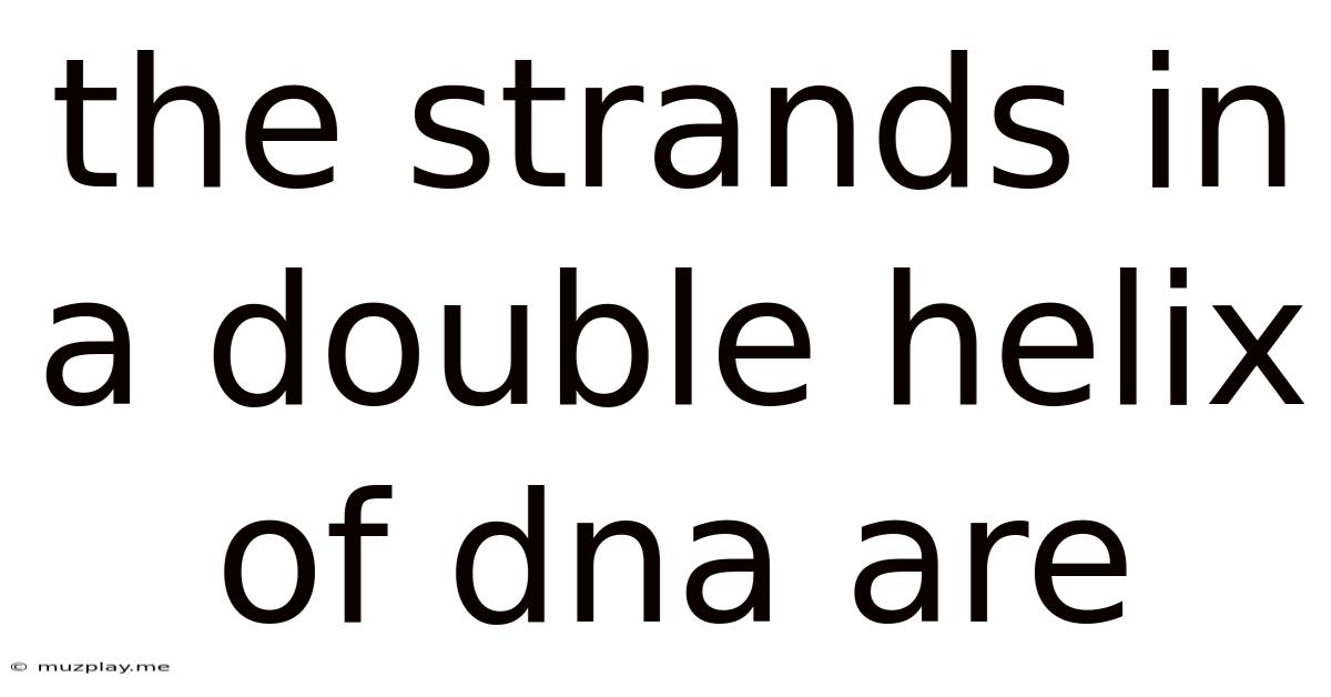 The Strands In A Double Helix Of Dna Are