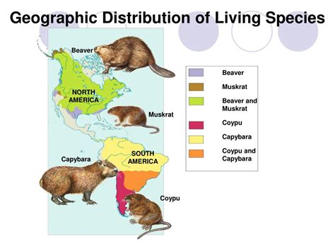 The Study Of The Geographical Distribution Of Organisms Is Called