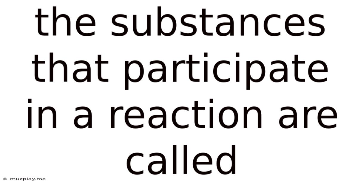 The Substances That Participate In A Reaction Are Called