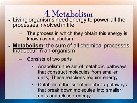 The Sum Of All Chemical Processes Of Life