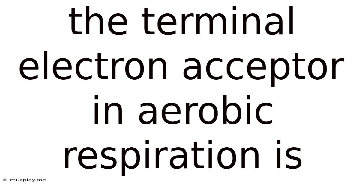The Terminal Electron Acceptor In Aerobic Respiration Is