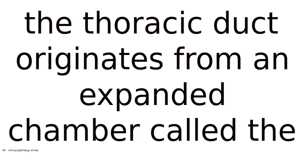 The Thoracic Duct Originates From An Expanded Chamber Called The