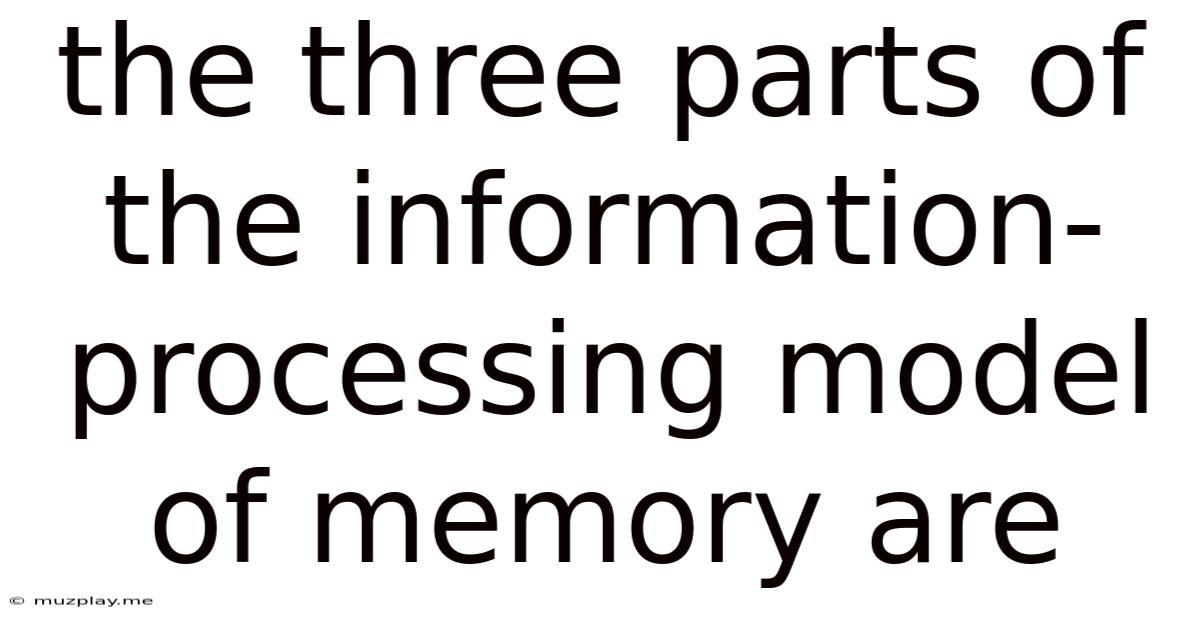 The Three Parts Of The Information-processing Model Of Memory Are