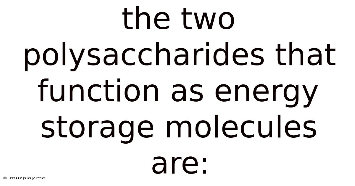 The Two Polysaccharides That Function As Energy Storage Molecules Are: