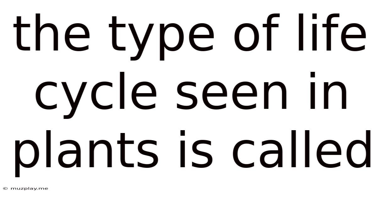 The Type Of Life Cycle Seen In Plants Is Called