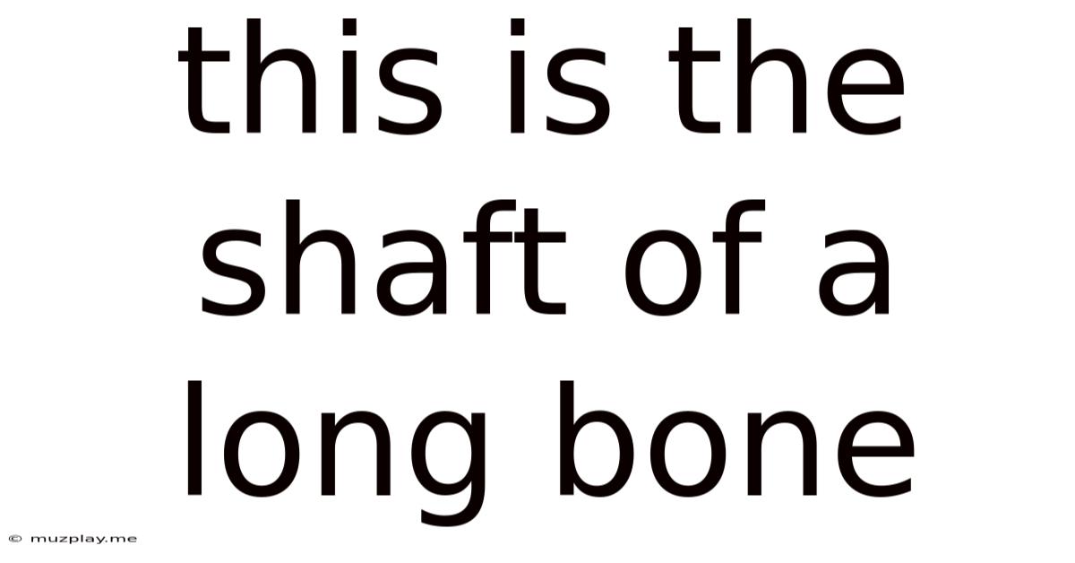 This Is The Shaft Of A Long Bone