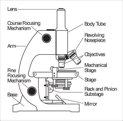 Three Important Parts Of Microscope Care