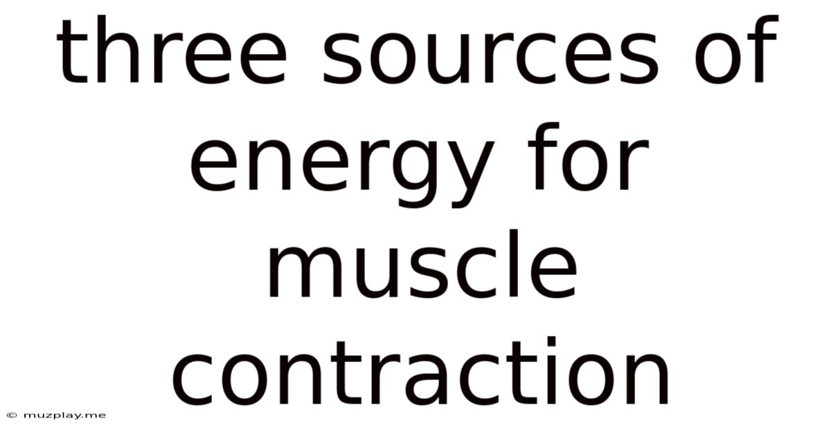 Three Sources Of Energy For Muscle Contraction