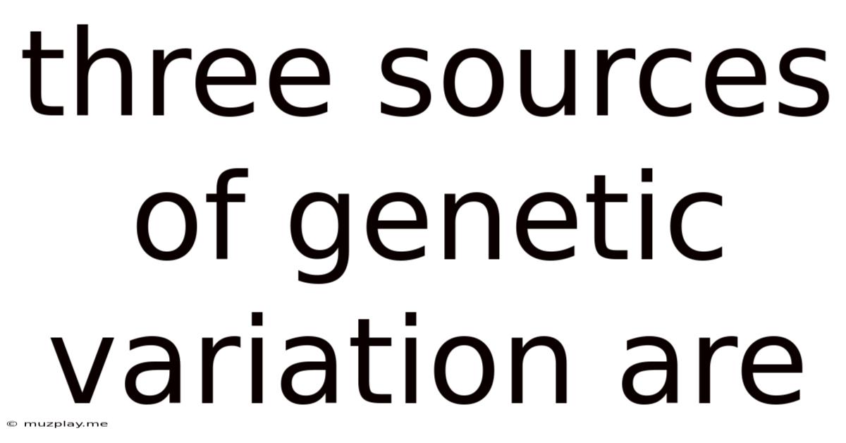 Three Sources Of Genetic Variation Are