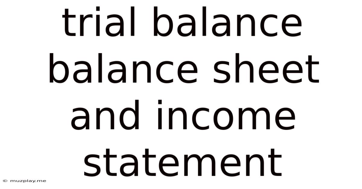 Trial Balance Balance Sheet And Income Statement