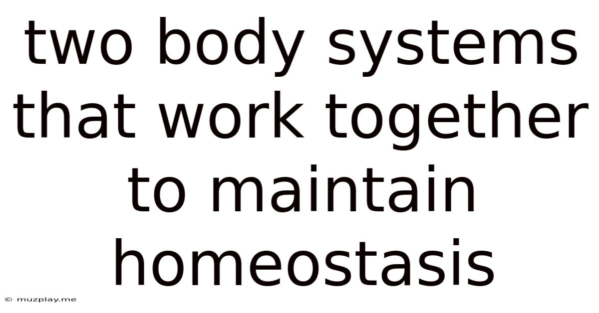 Two Body Systems That Work Together To Maintain Homeostasis