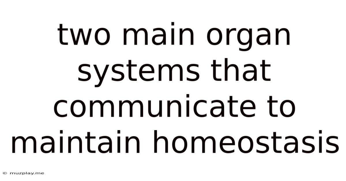 Two Main Organ Systems That Communicate To Maintain Homeostasis