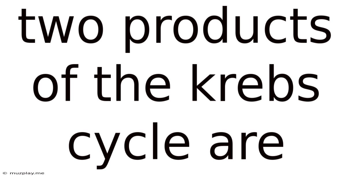 Two Products Of The Krebs Cycle Are