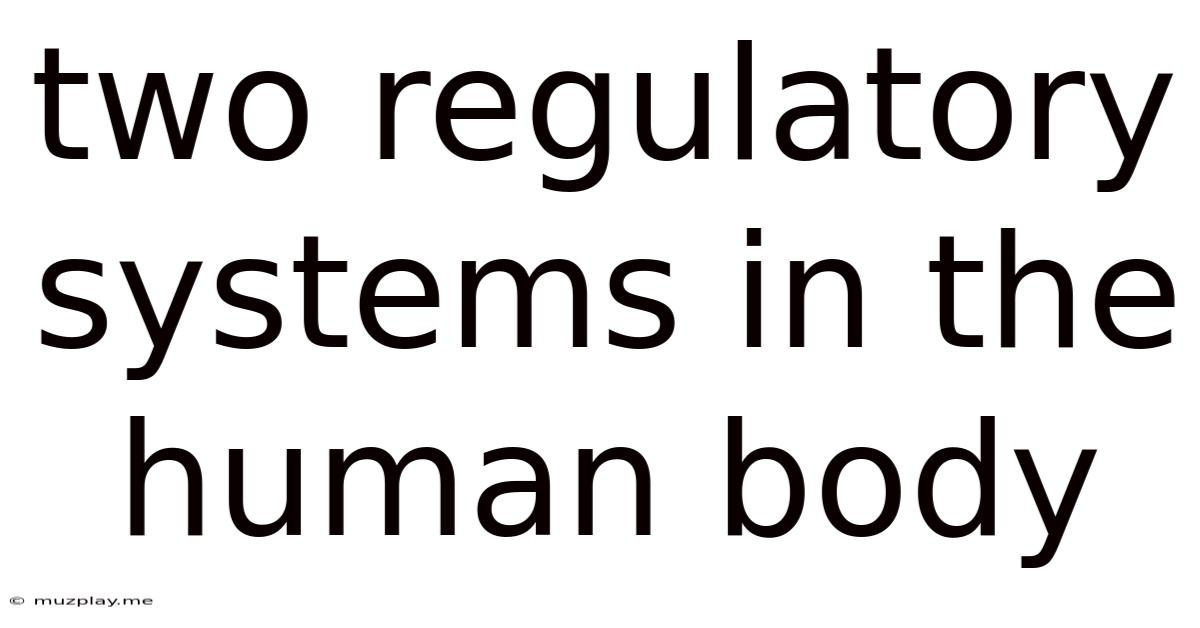 Two Regulatory Systems In The Human Body